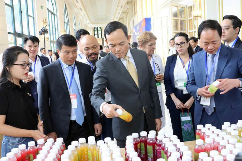 Tran Luu Quang - Head of the Central Policy and Strategy Commission, Deputy Prime Minister