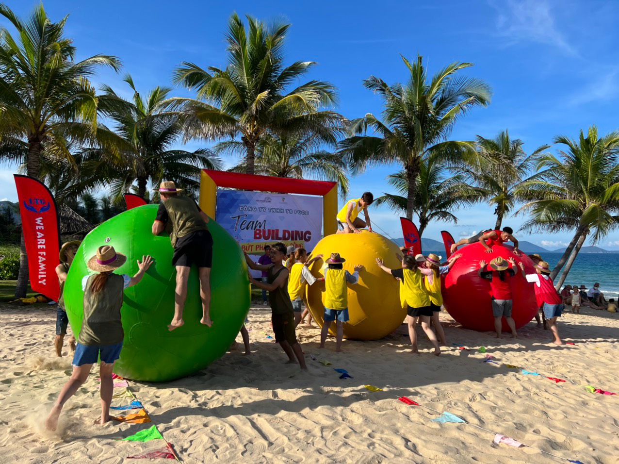 Summer 2022 - Ts Food Lam Dong